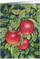 Thanksgiving Apples
