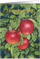 Thanksgiving Apples card