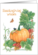 Thanksgiving Wishes with Pilgrim Frog and Butterfly card