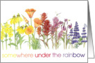 Somewhere under the rainbow - birthday card