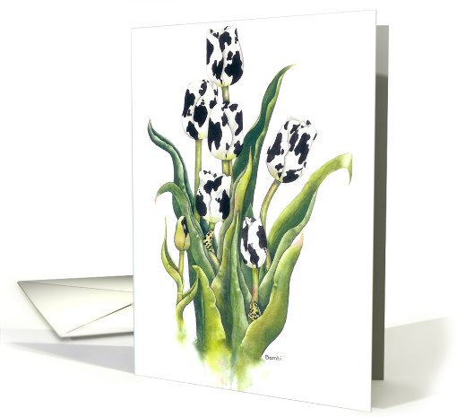 Moolips - anniversary card (471348)