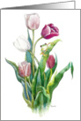 Frog & Tulips - Sympathy card