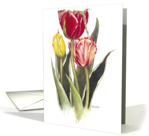 After the Feed - Mothers Day card (477323)