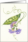 Sweet Pea - Missing You card