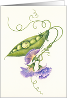 Sweet Pea - Praise card