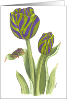 Purple Zebra Frog card