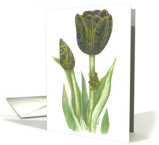 Purple Zebra Frog card (477380)