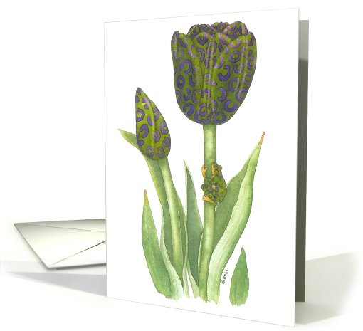 Purple Zebra Frog card (477390)