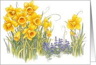 Daffydowndilly - Celebrate card