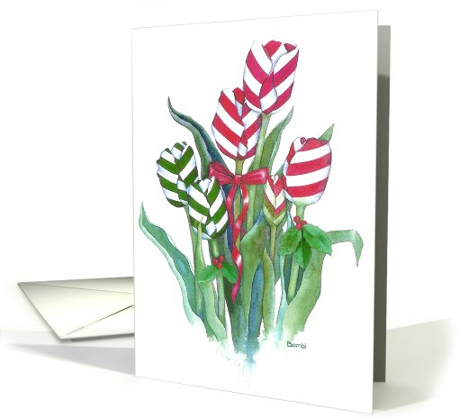 Christmas Tulips - Christmas card (486506)