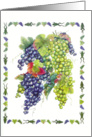 Frogs & Grapes - Autumn card