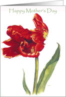 Tulip Watch - Mothers Day card