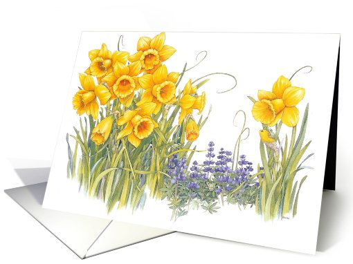 Daffydowndilly - Spring Flowers card (502006)
