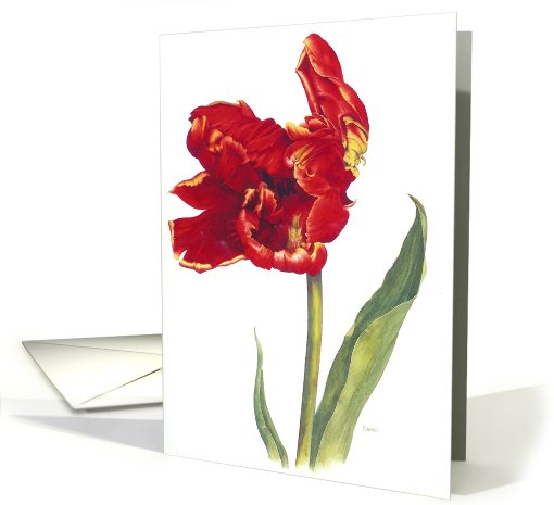 Tulip  Watch - Sympathy card (502012)