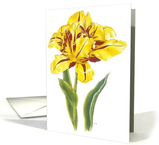 Tulip  Flutter - Sympathy card (502014)