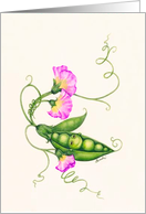 Pink Sweet Pea card