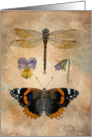 Butterfly and Dragonfly card