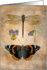 Thank You, Nature’s Way, Butterfly, Dragonfly, Flowers card
