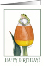 Candy Corn Tulip happy Birthday with frog card