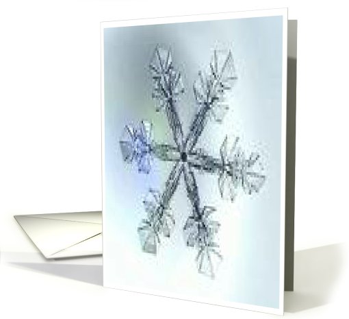 snowflake card (503541)