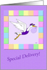 Special Delovery: Stork Delivery Service card