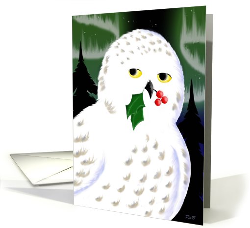 Snowy Owl Holiday card (476858)