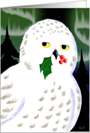 Snowy Owl Holiday card