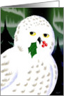 Snowy Owl Holiday card