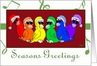 Rainbow Birdies: Gay...