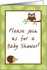 Woodland Forrest Animals Owl Porcupine Baby Shower Invitation card