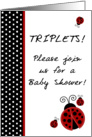 TRIPLET Red Lady Bug, Black & White Polka dot Boarder Baby Girls Shower Invitation card