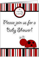 Red Lady Bug Spring Insect Black and Red Striped Boarder Girl Baby Shower Invitation card