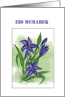Eid Mubarek With Blue Lily card
