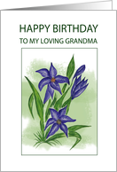 Blue Lilly.......Birthday Wishes To Grandma card