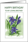 Blue Lilly.......Birthday Wishes To Brother card