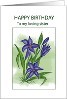 Blue Lilly.......Birthday Wishes To Sister card