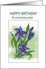 Blue Lilly.......Birthday Wishes To Sister card