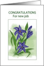 Blue Lilly.......Congrats For New Job card