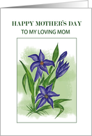 Blue Lilly.......Mother’S Day card