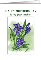 Blue Lilly.......Mother’S Day To Teacher card