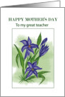 Blue Lilly.......Mother’S Day To Teacher card