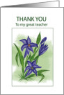Blue Lilly.......Thank You Teacher card