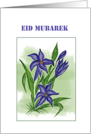 Eid Mubarek With...