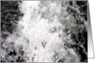 Splash card