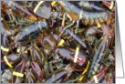 Lobsta Meat Humor card