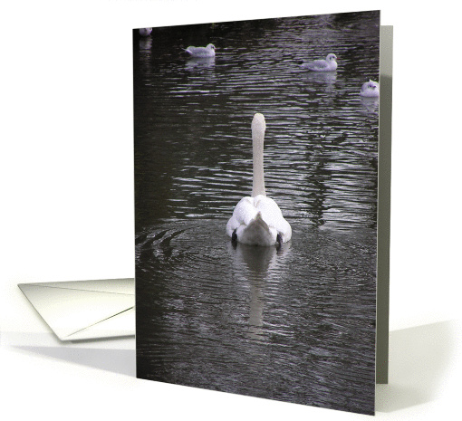 Lonely Swan card (389479)