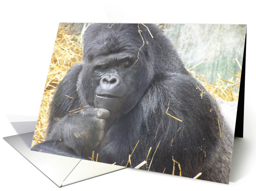 Gorilla Deep In Thought card (389495)