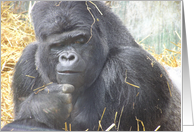Gorilla Deep In Thought card
