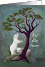 Not Like Home Miss You - Polar Bear Cubs In Tropical Environment card