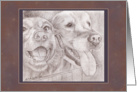 Note Card - Eager Dog Buddies Drawing card